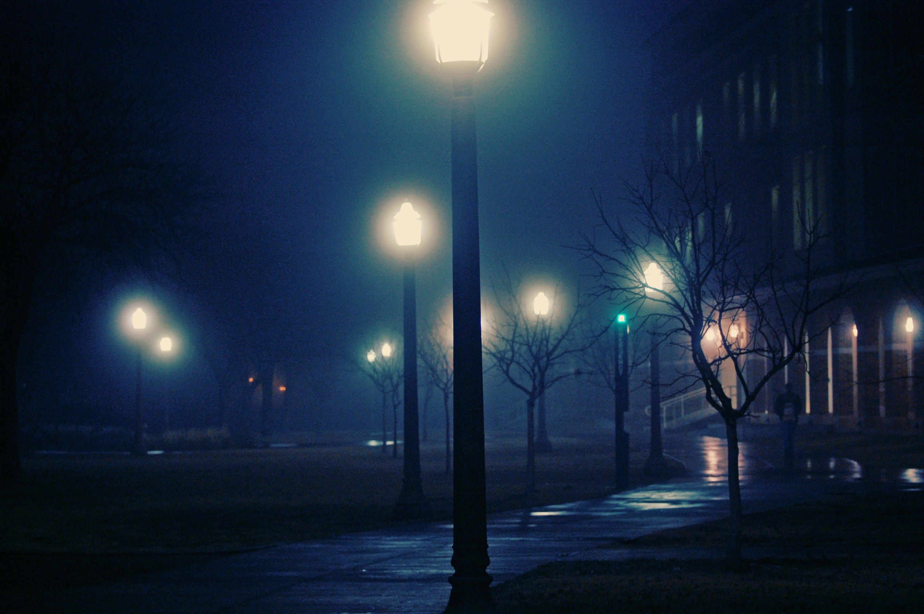 Поздно вечером молодая. Цвейг улица в лунном свете. Уличный фонарь ночью. Вечерняя улица с фонарями. Ночь улица фонарь.