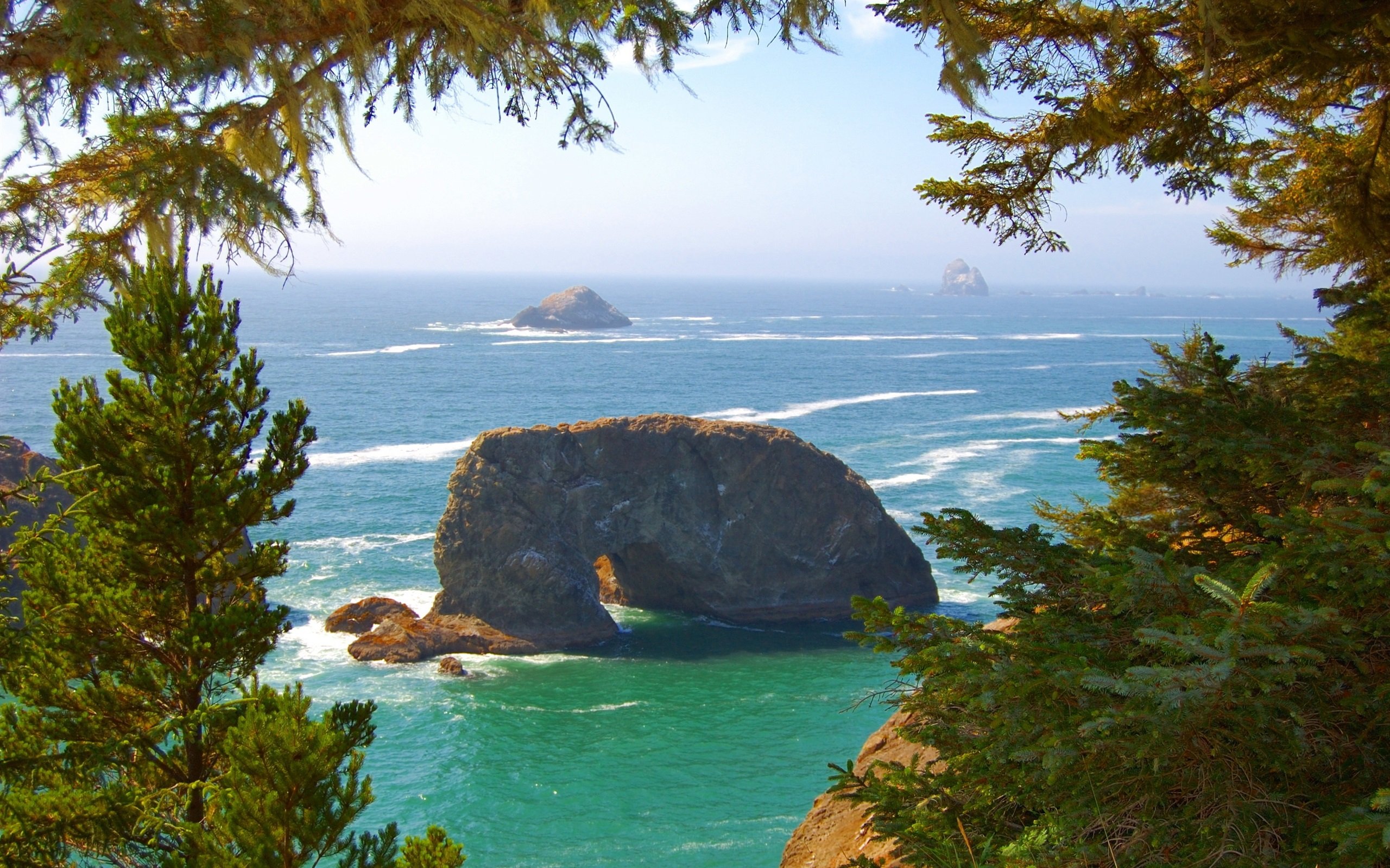 Wallpaper Pacific coast, sea waves, rocks, trees, Oregon