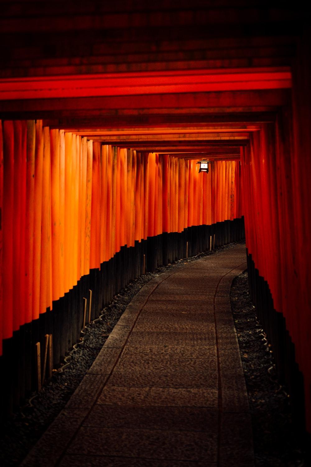 Fushimi Inari Taisha, Kyoto, Japan Picture. Download Free