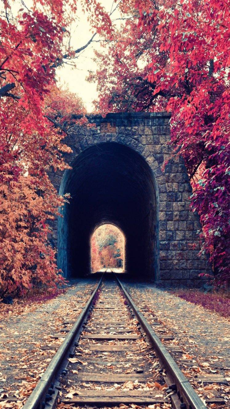 portrait Display, Nature, Trees, Fall, Leaves, Railway, Tunnel, Red, Bricks, Armenia Wallpaper HD / Desktop and Mobile Background