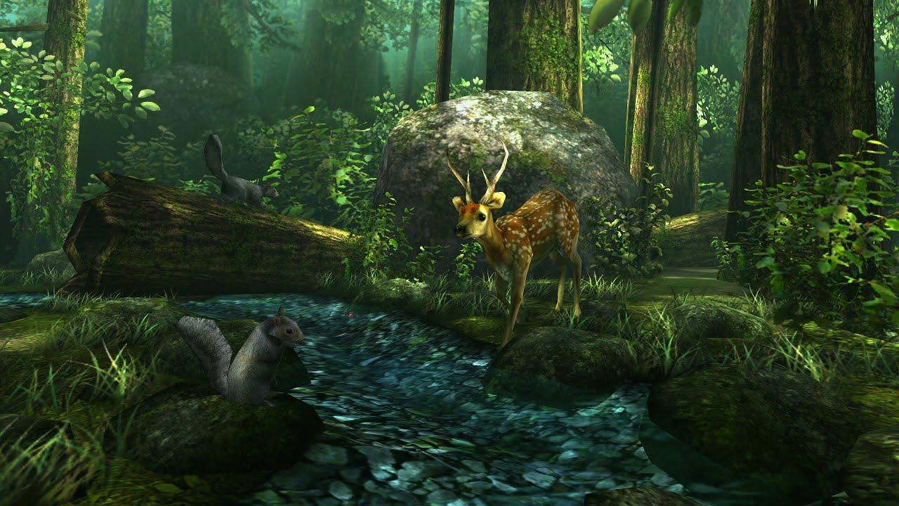 Forest HD Live Wallpaper By DualBoot Games