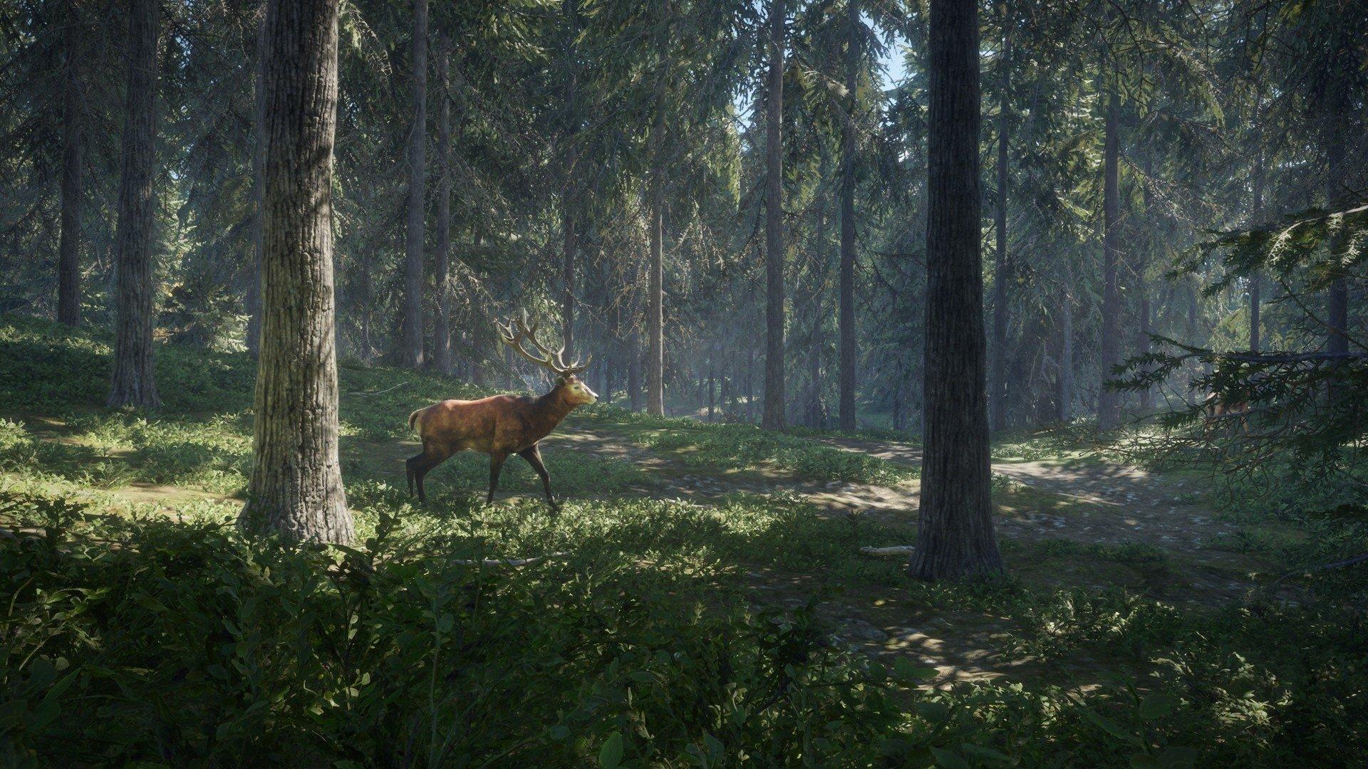 TheHunter: Call Of The Wild HD Wallpaper. Background Image