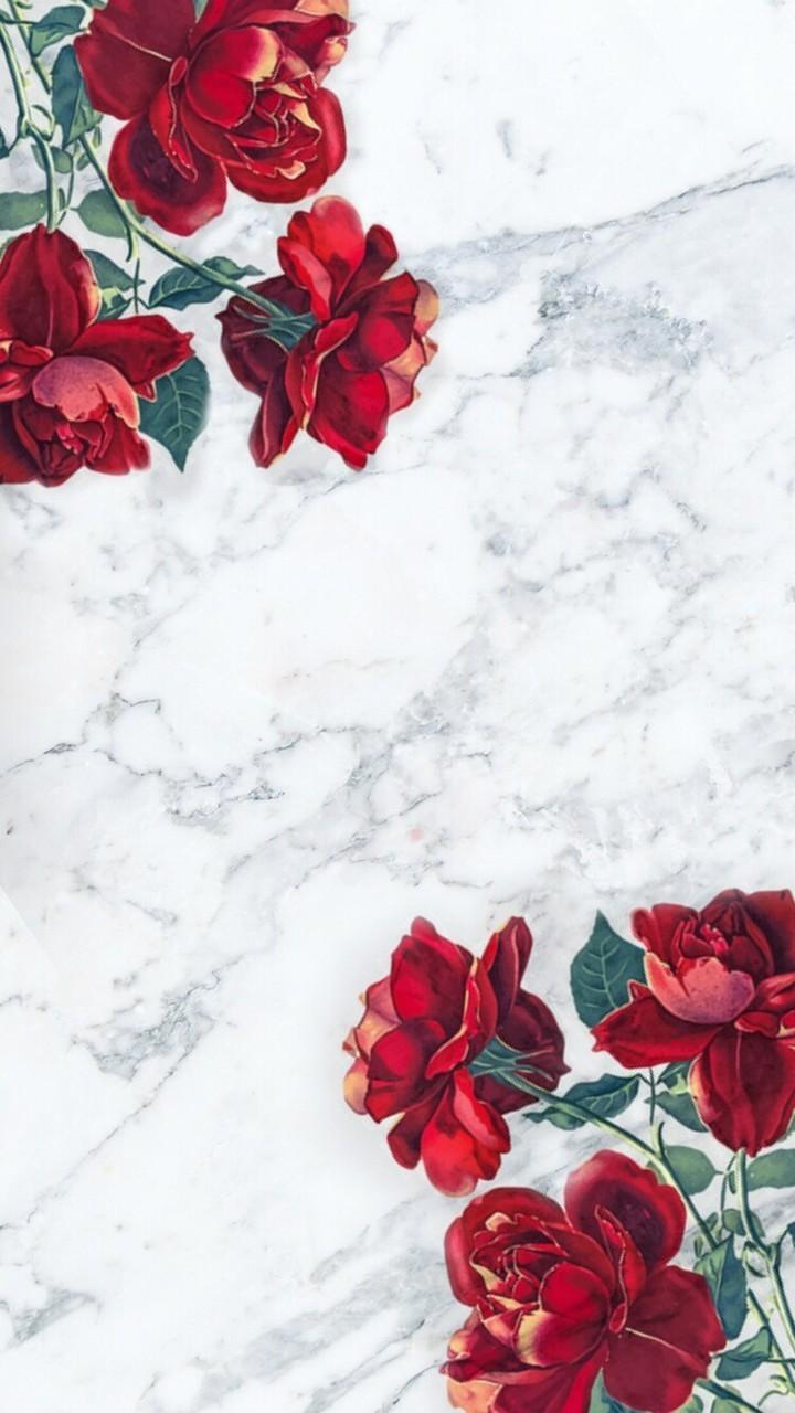 roses tumblr background