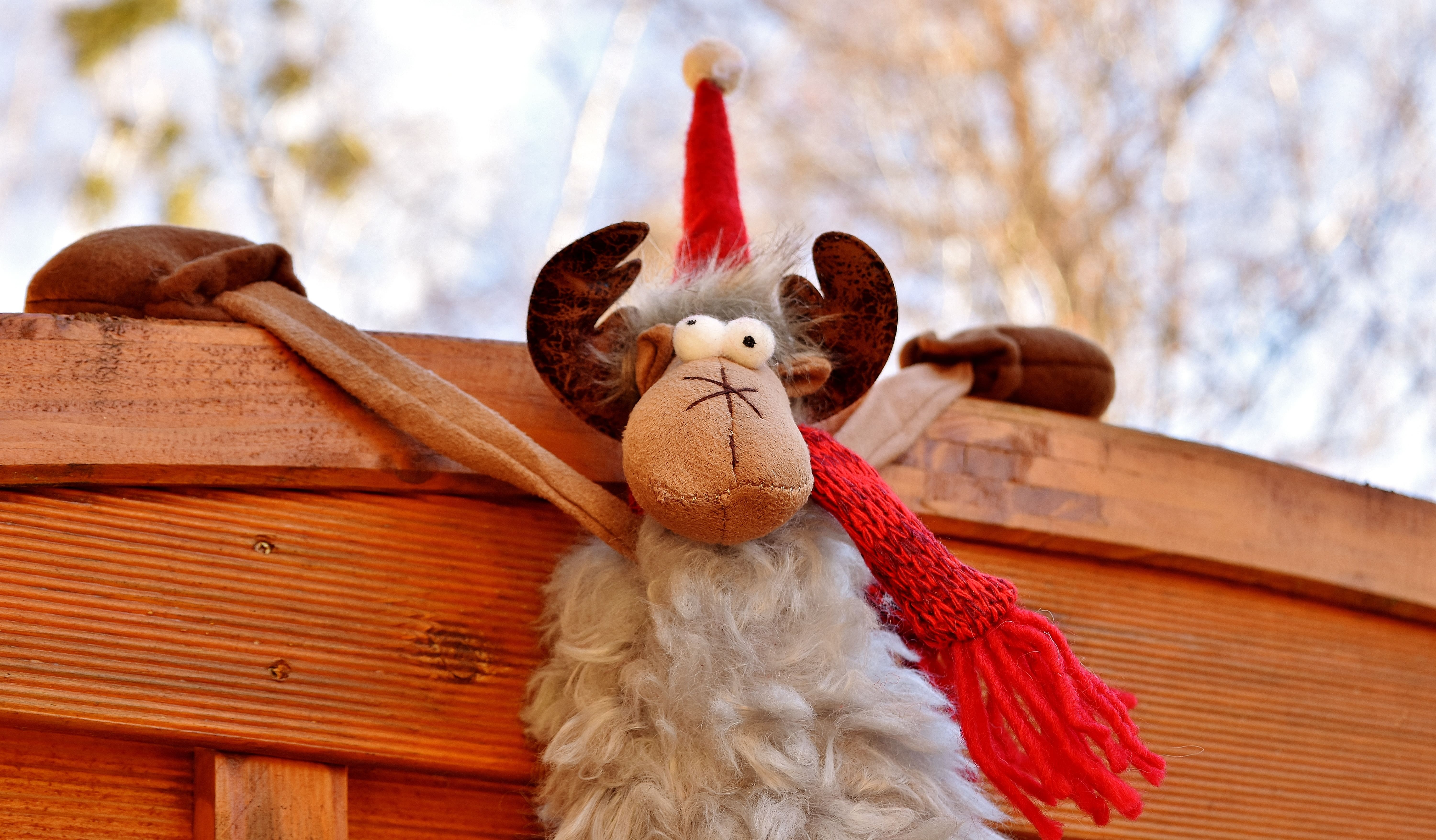 Moose Christmas Santa Hat Depend Wallpaper and Free