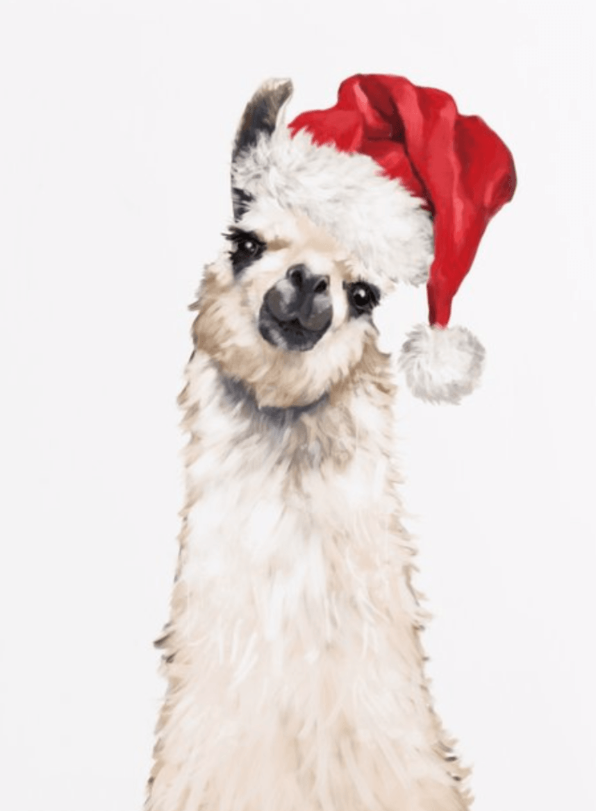 Christmas Llama Poster. Cute llama, Llama christmas