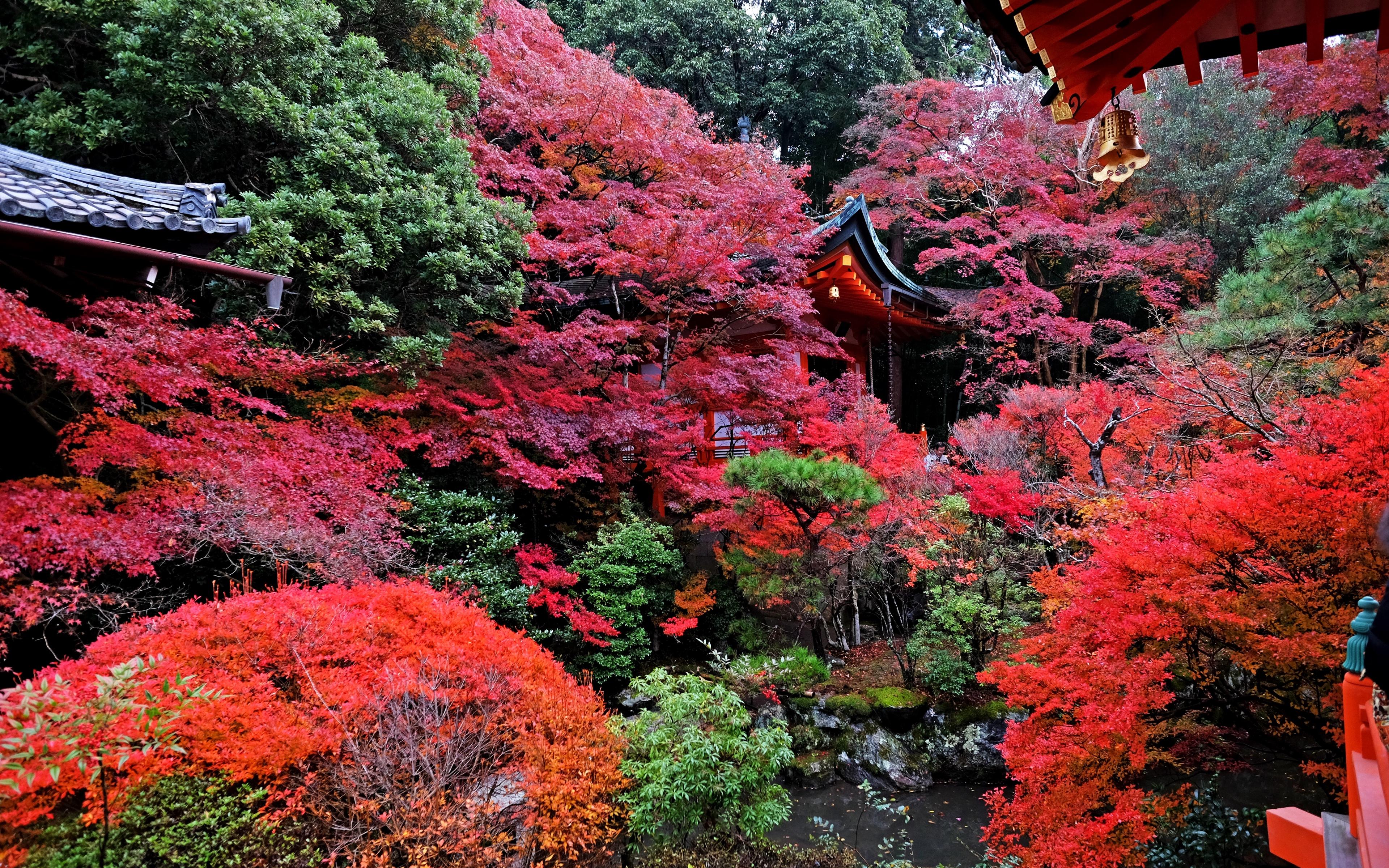 Download wallpaper 3840x2400 temple, autumn, japan, kyoto 4k