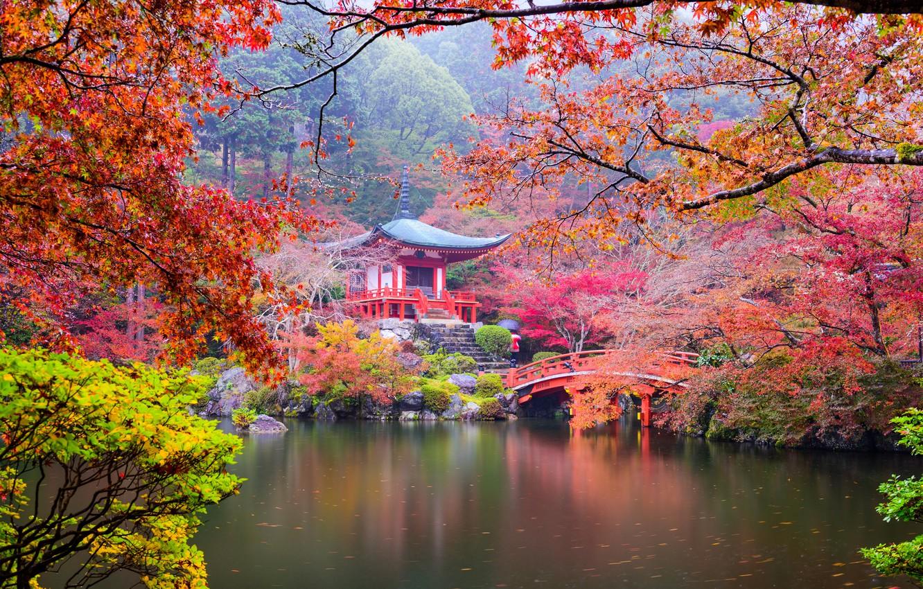 Wallpaper autumn, leaves, trees, branches, bridge, pond, Park, stones, Japan, ladder, pagoda, Kyoto, the bushes, colorful image for desktop, section природа