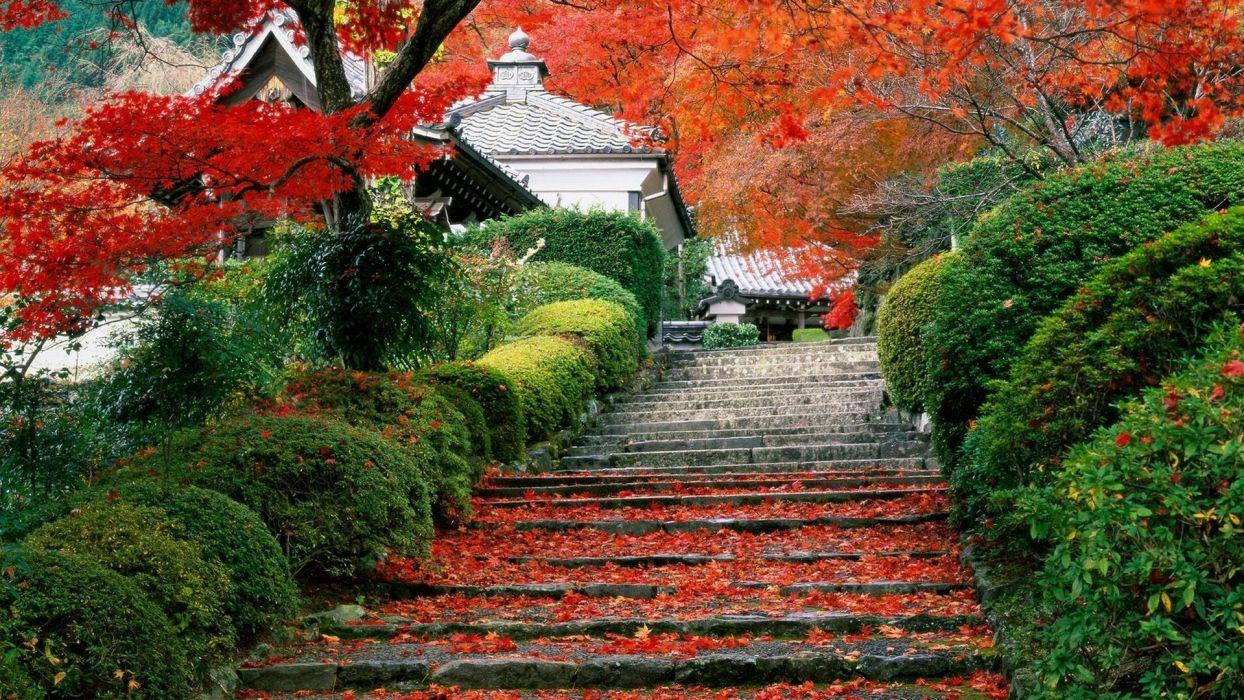 Japan garden kyoto autumn fall wallpaperx1080