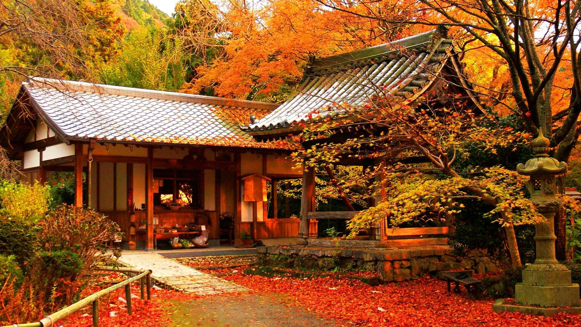 Free download Autumn Color In Japan 18432 Wallpaper