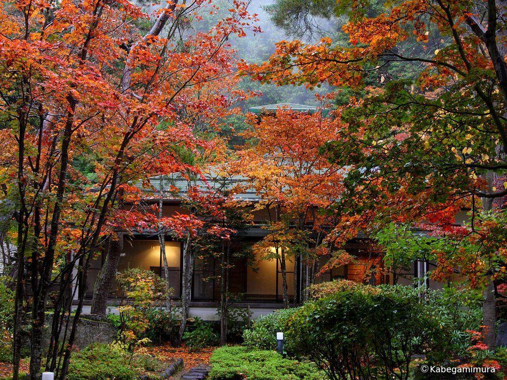 Autumn. Japanese garden, Autumn home