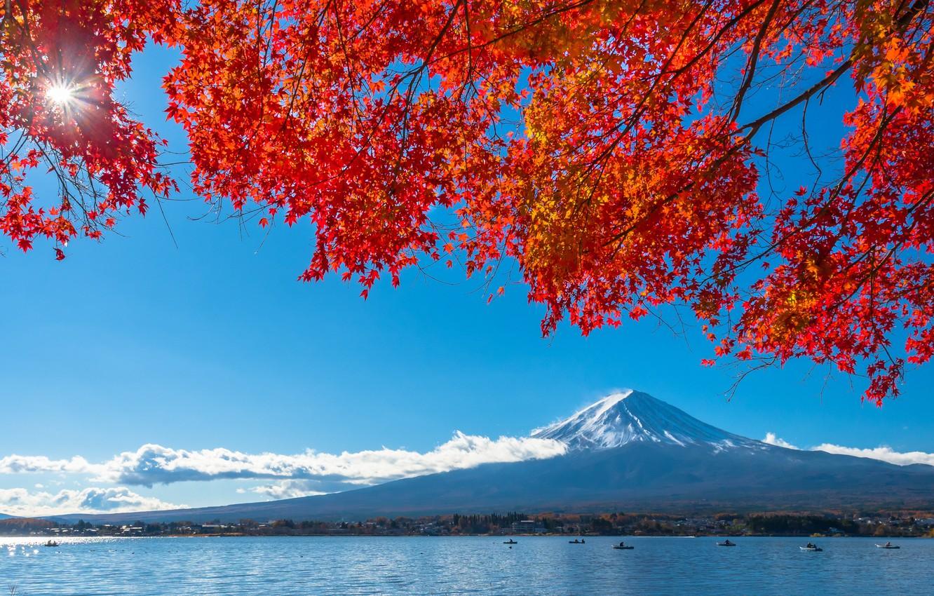 Wallpaper autumn, the sky, leaves, colorful, Japan, Japan