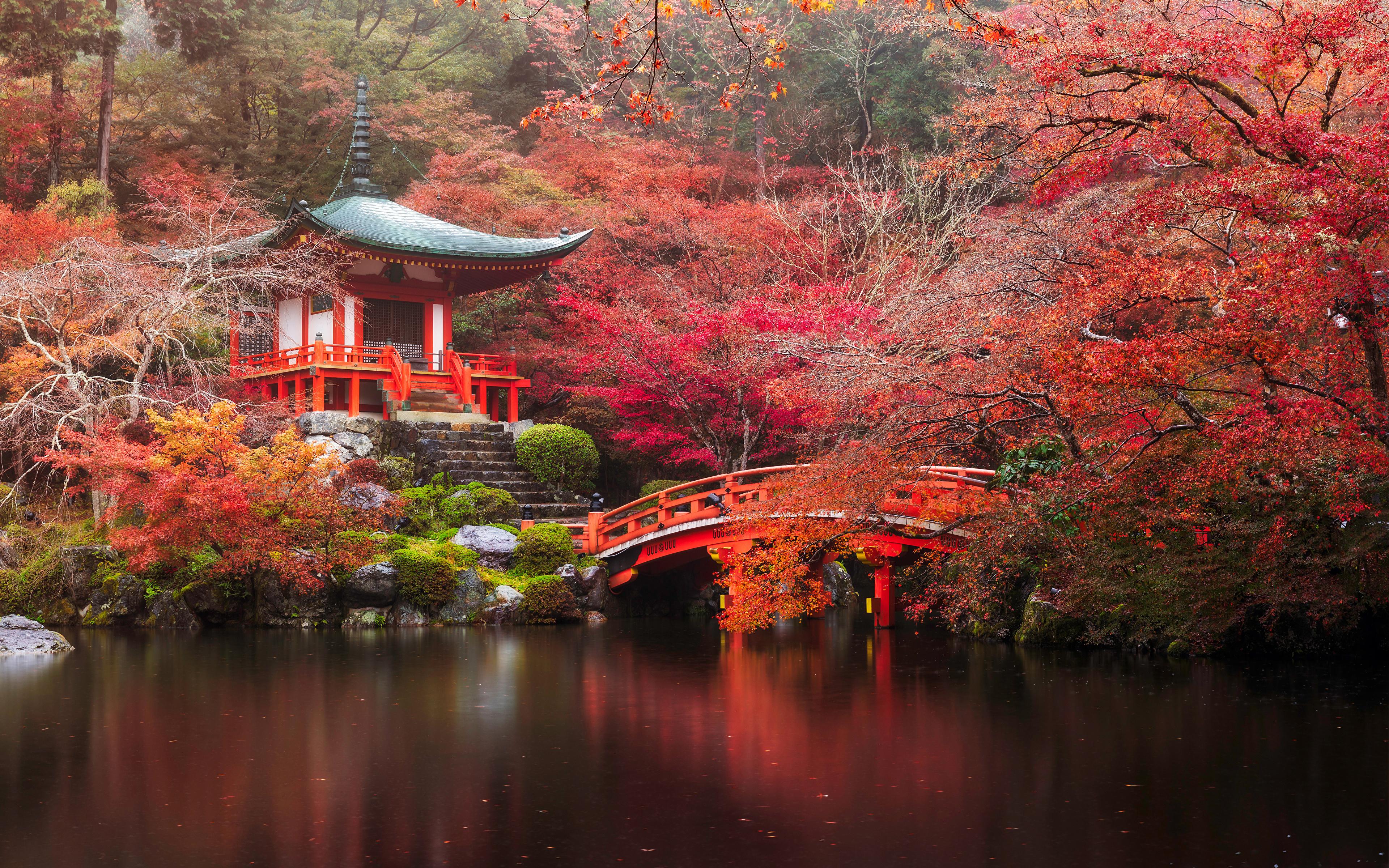 Picture Kyoto Japan Autumn Nature Bridges Pond Parks 3840x2400