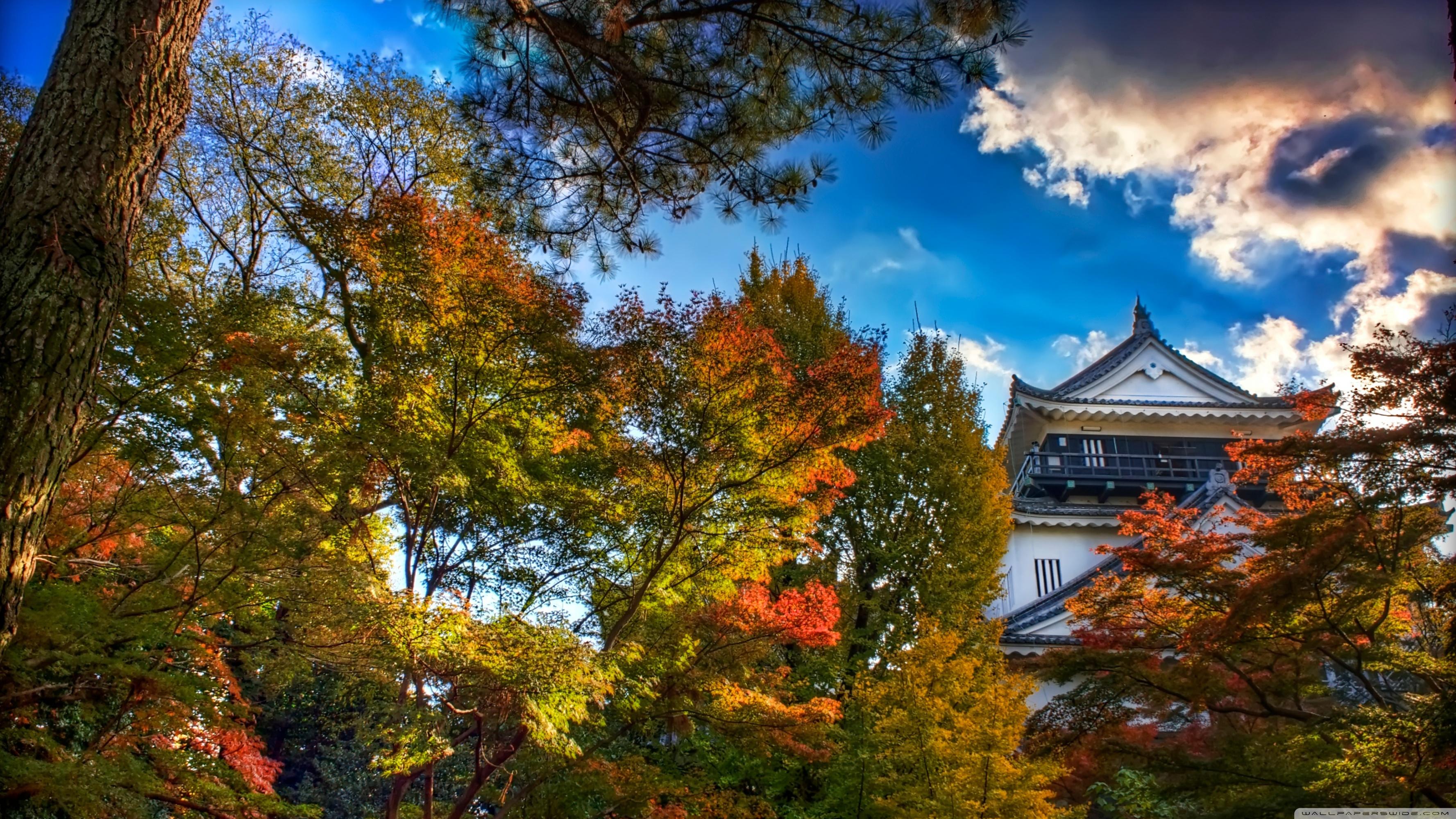 Japanese Castle, Autumn ❤ 4K HD Desktop Wallpaper for 4K