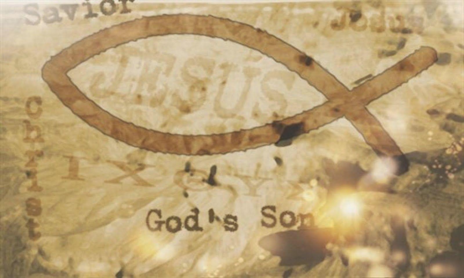 Joe Catholic Navarre Bible commentary examines today's