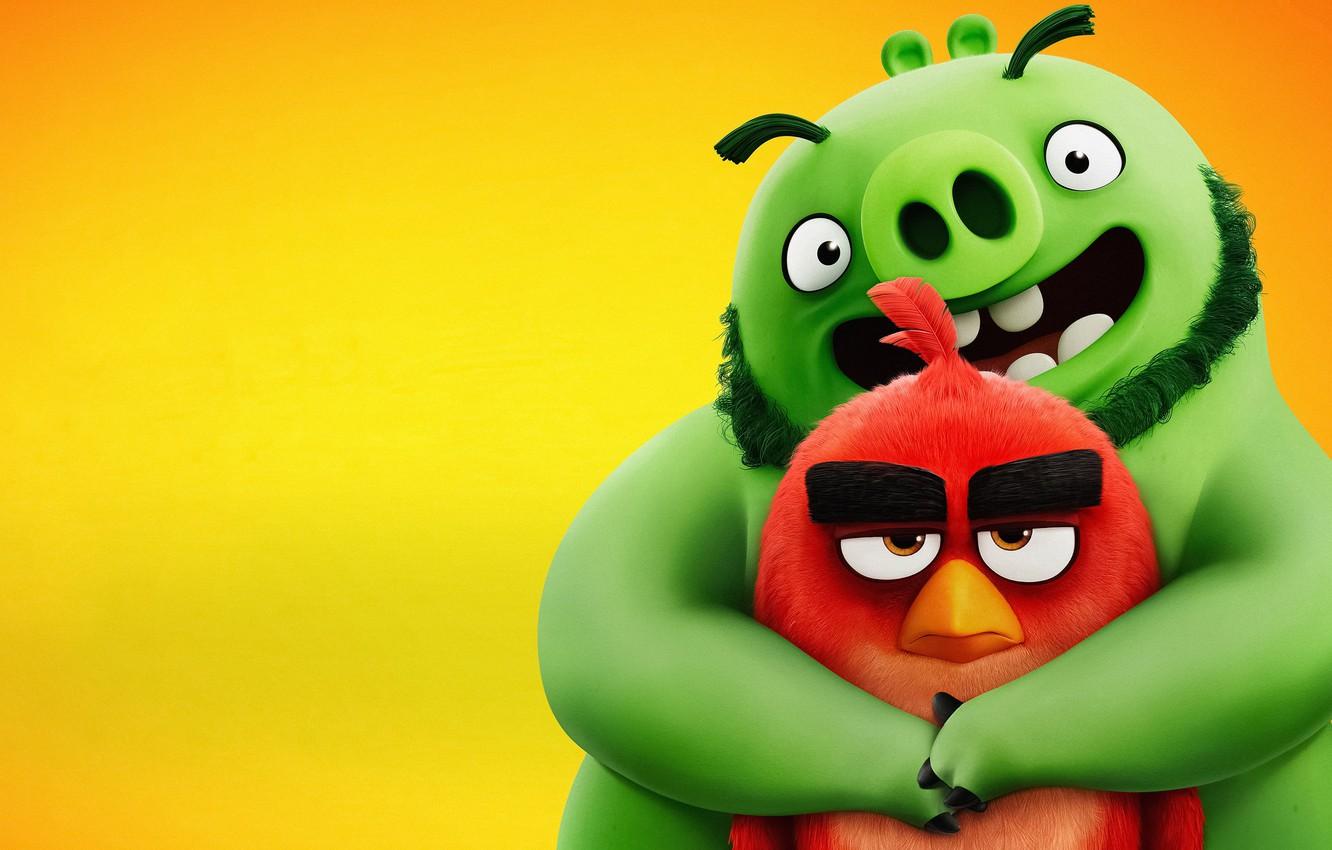 Wallpaper bird, pig, Angry Birds, hugs, The Angry Birds