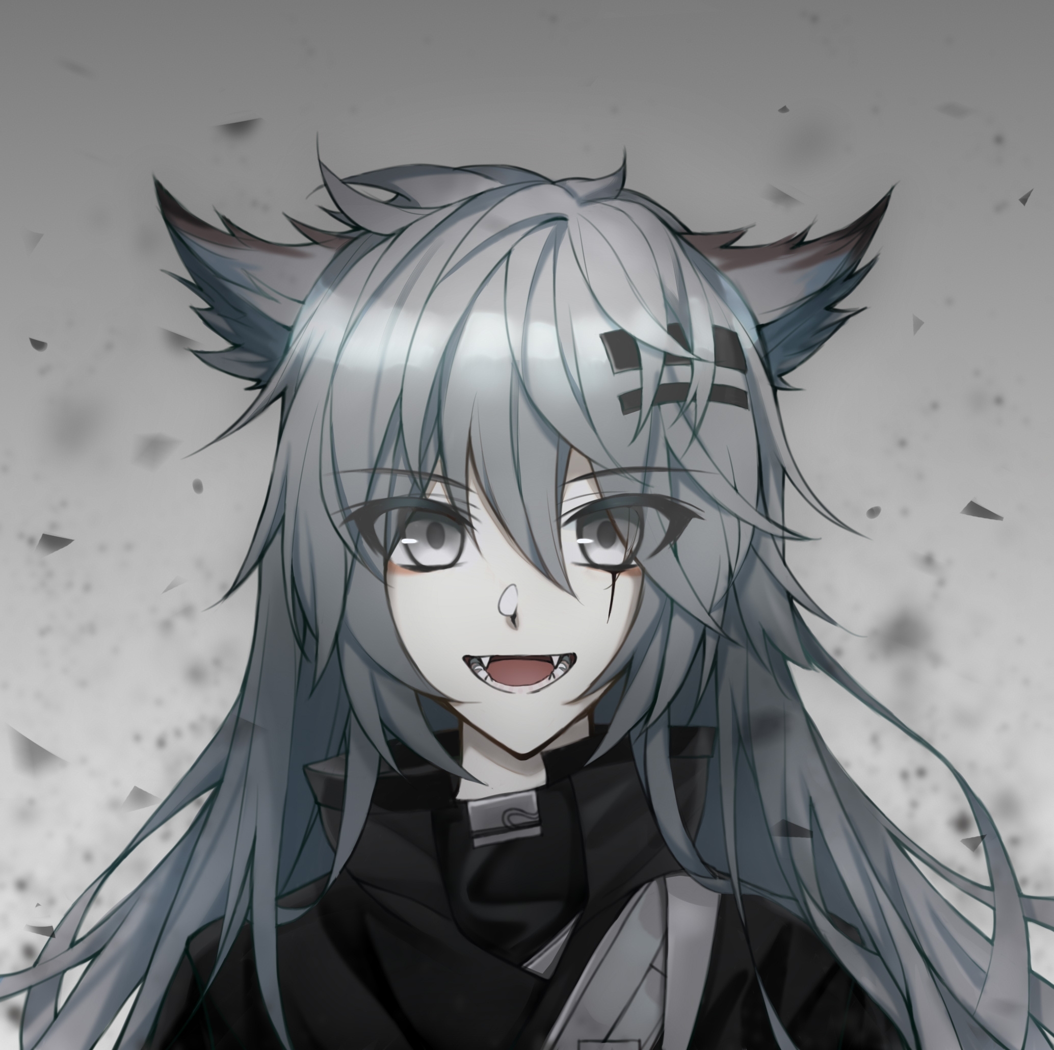 Download 2068x2060 Lappland, Arknights, Animal Ears, Silver