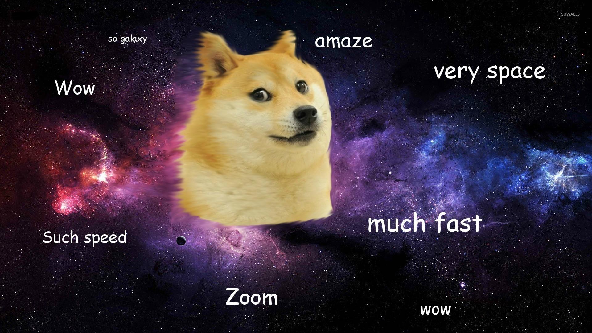 HD Meme Wallpaper