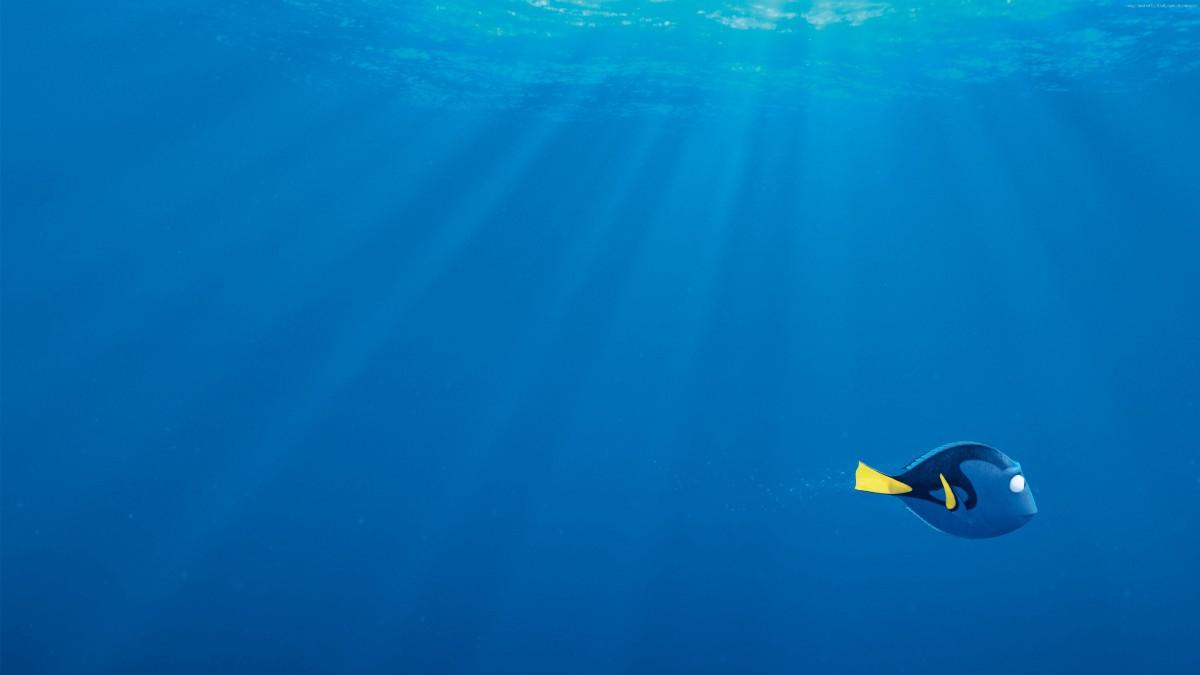 Just keep swimming