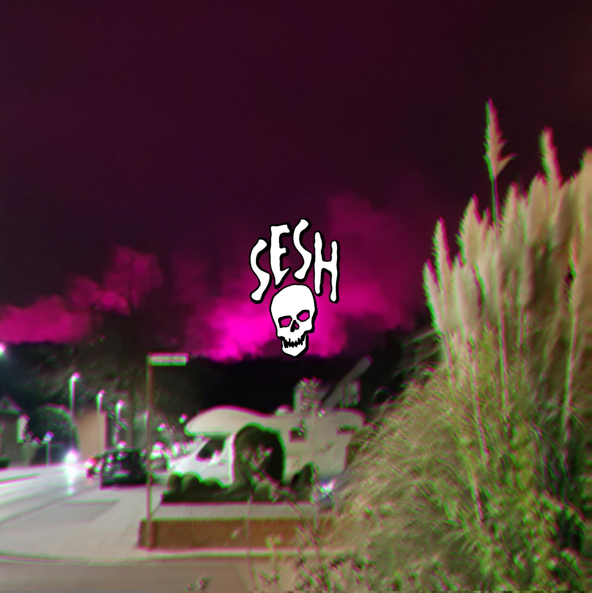 SESHSkull. Thought this looked nice as a wallpaper or