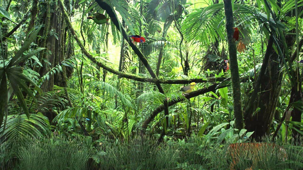 Wild Jungle Animated Wallpaper