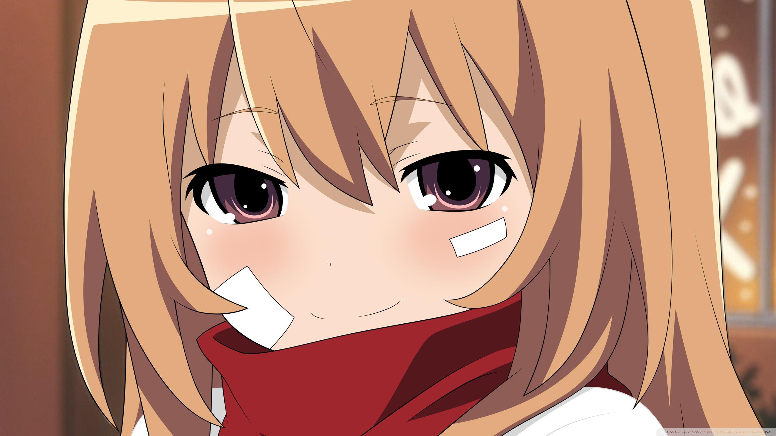 Toradora Desktop Wallpapers - Wallpaper Cave