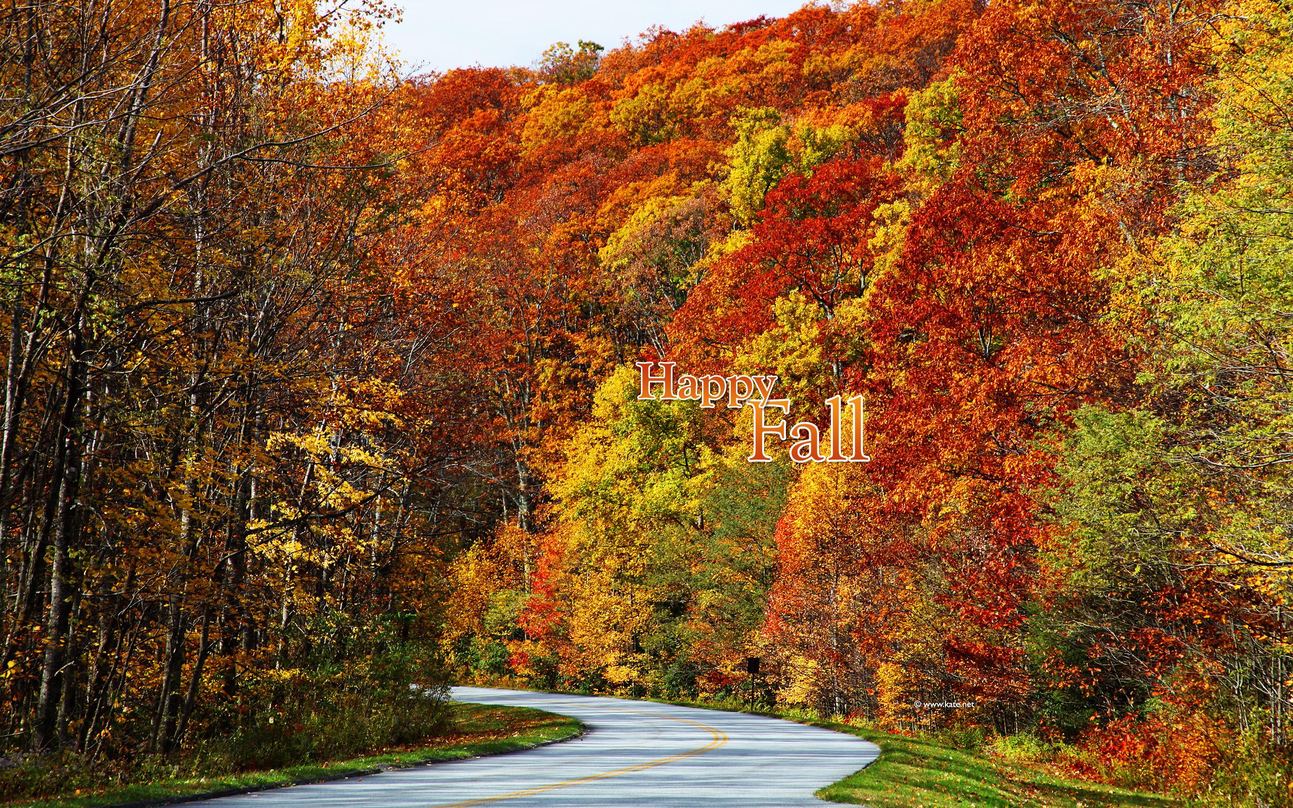 Fall Colors Desktop Wallpaper
