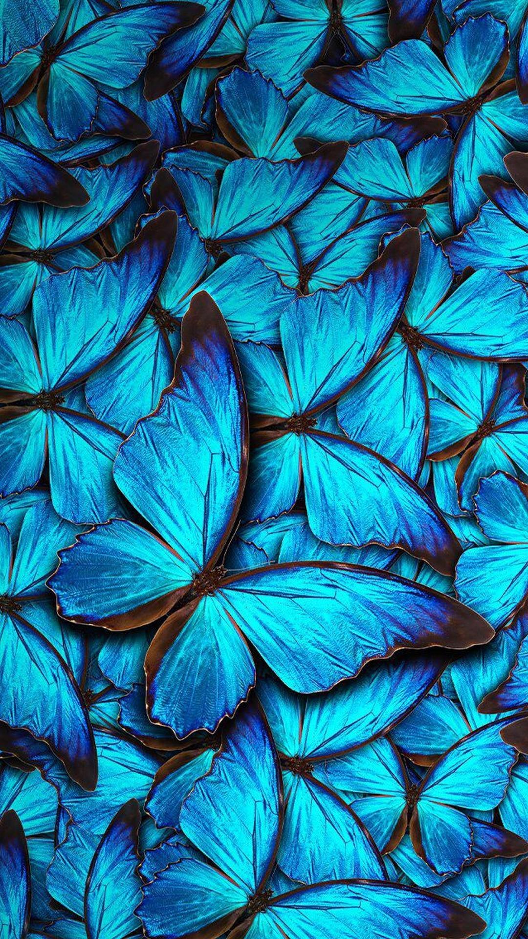 iPhone 8 Wallpapers Blue Butterfly