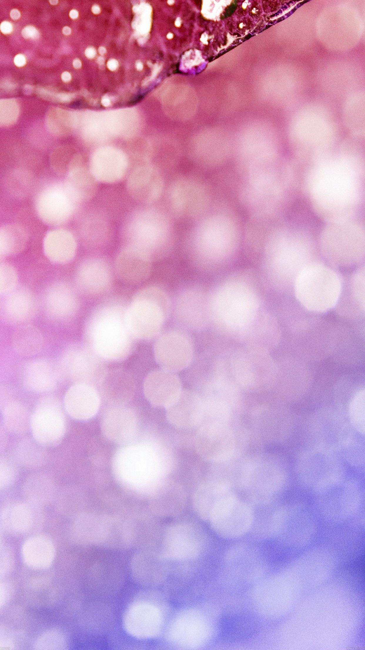 Oasis Red Leaf Shiny Rained After Morning Nature Android