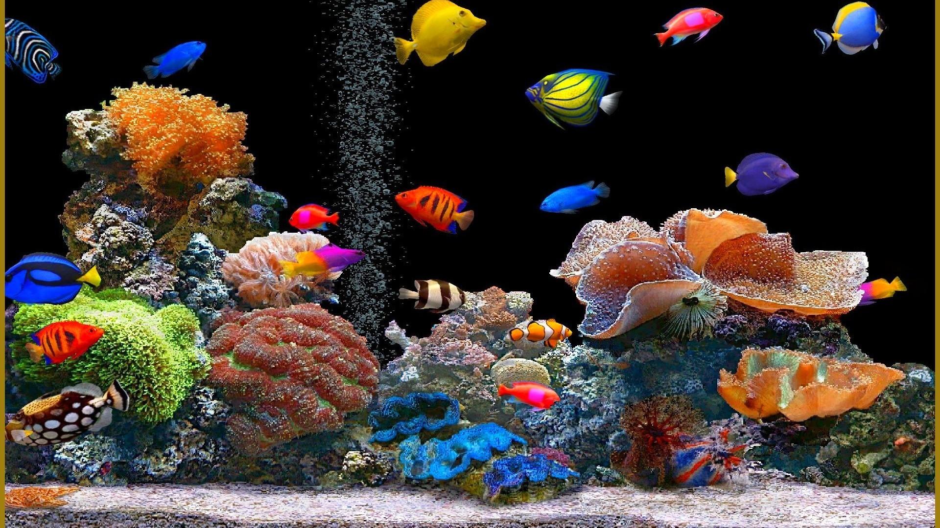 Animated Aquarium Desktop Wallpaper