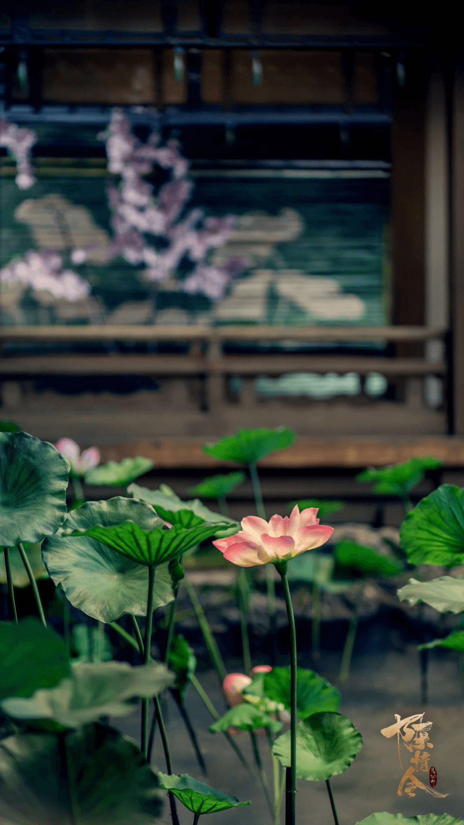 The Untamed 陈情令 Prop Stills 999 Instant Memory