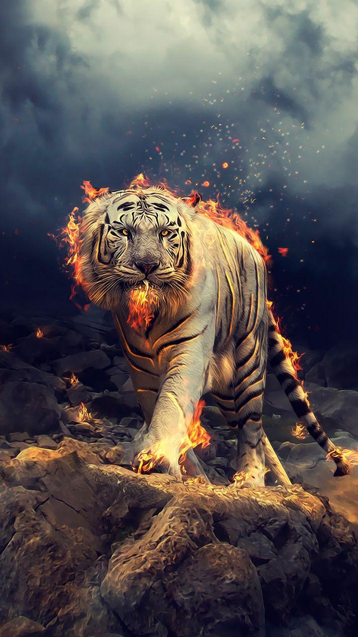 Angry, raging, white tiger, 720x1280 wallpaper in 2019