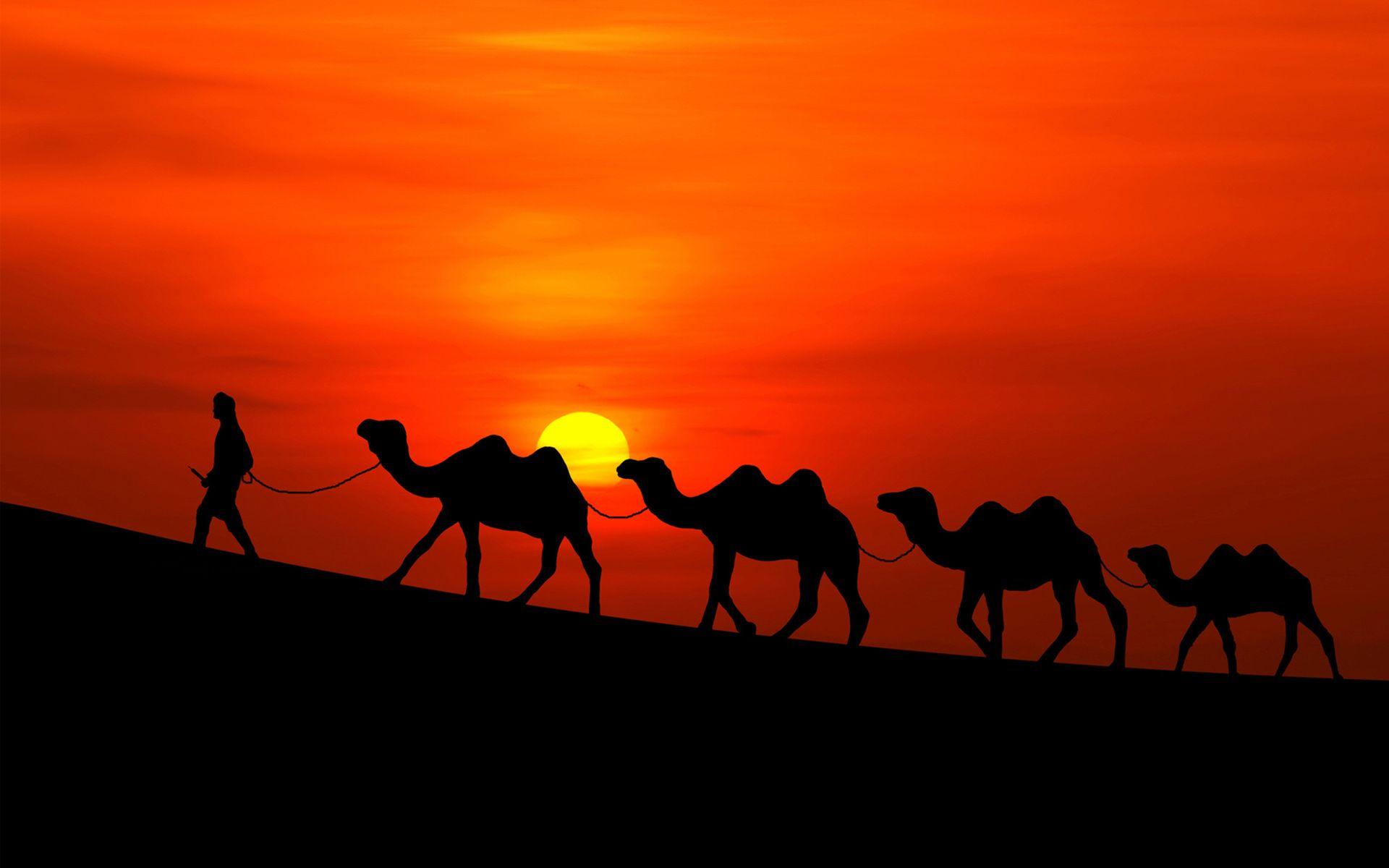 Arabian Desktop Wallpaper Free Arabian Desktop