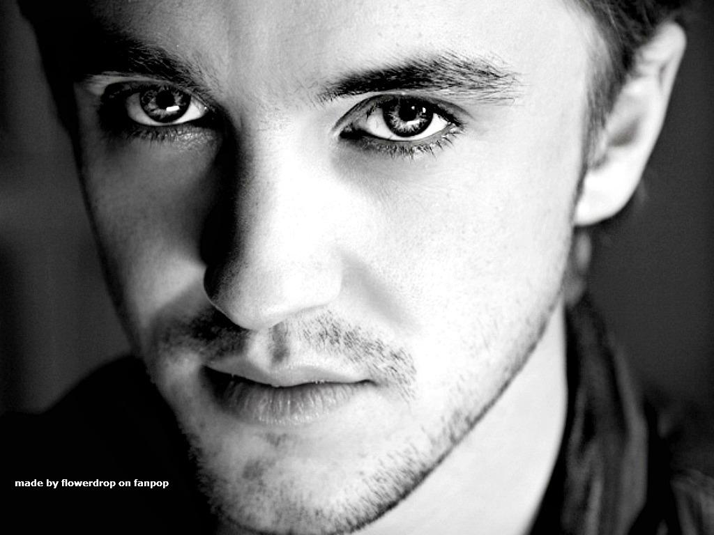 Tom Felton Wallpaper Felton Wallpaper