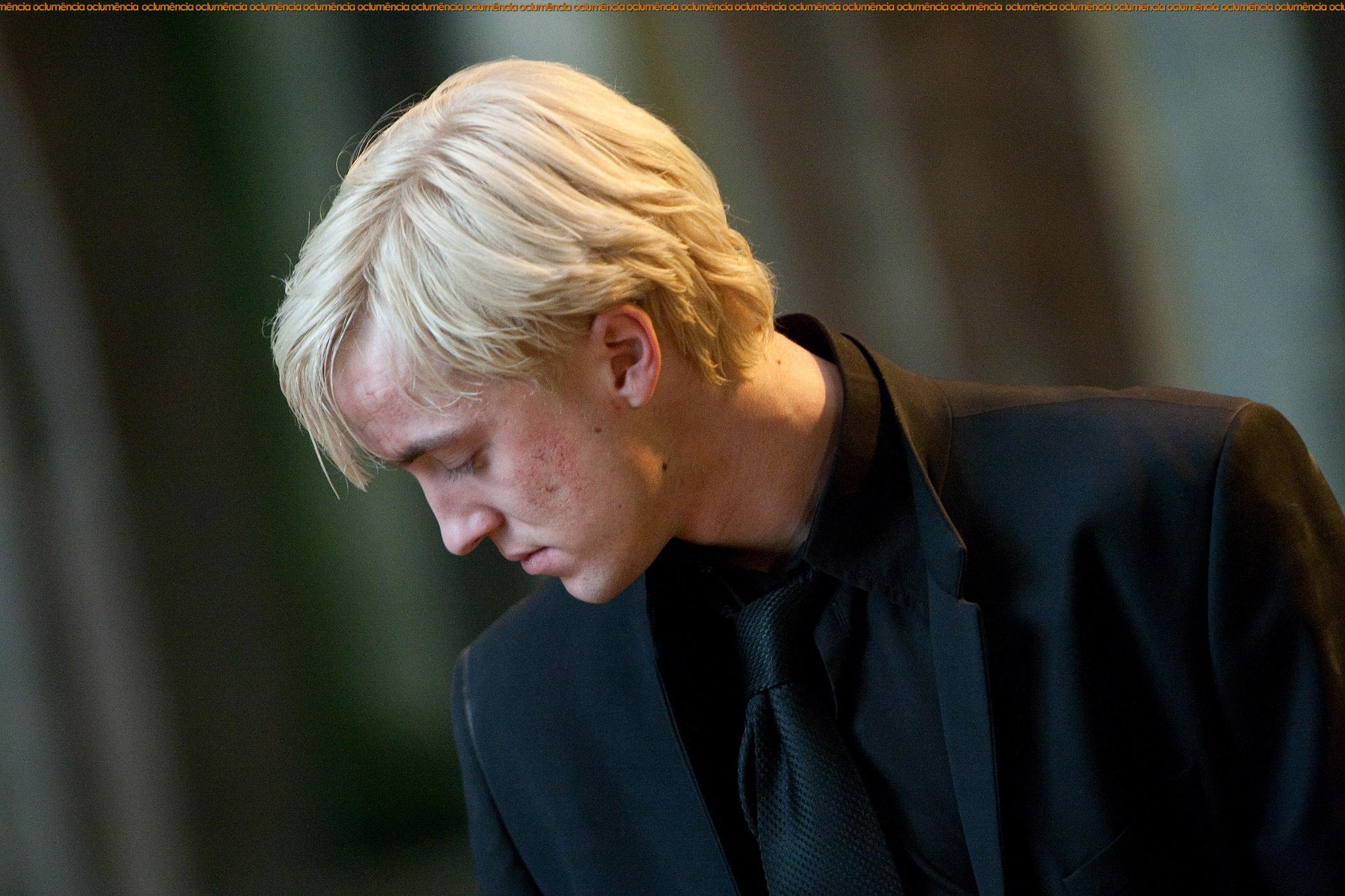 Tom Felton Profile, Picture And Wallpaper Malfoy