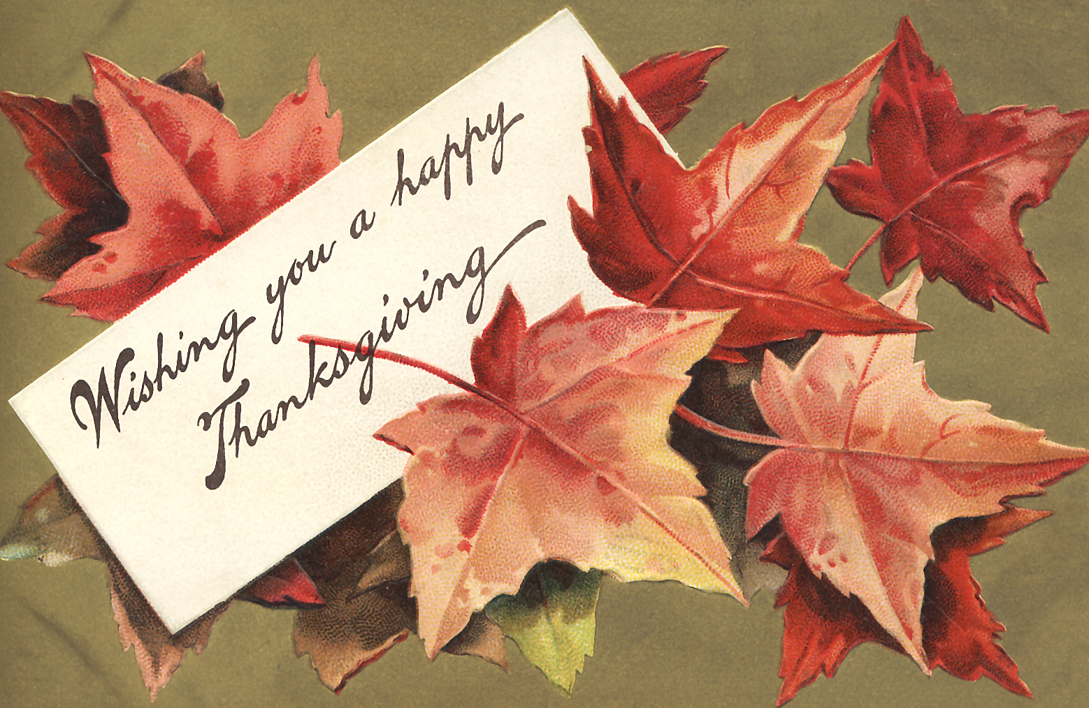 Free Image: Wishing You a Happy Thanksgiving