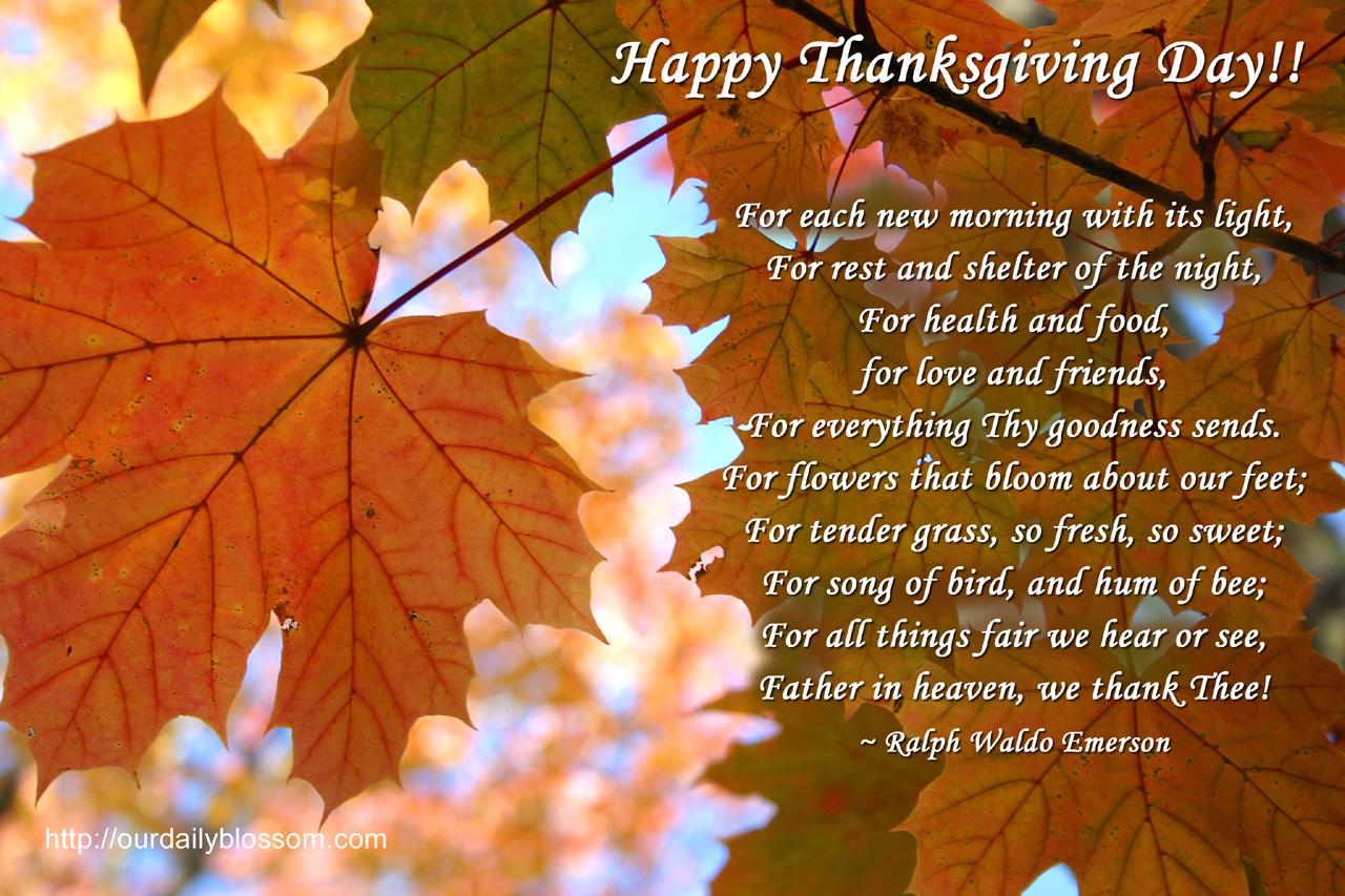 Happy Thanksgiving' Image, Quotes, Wishes Messages