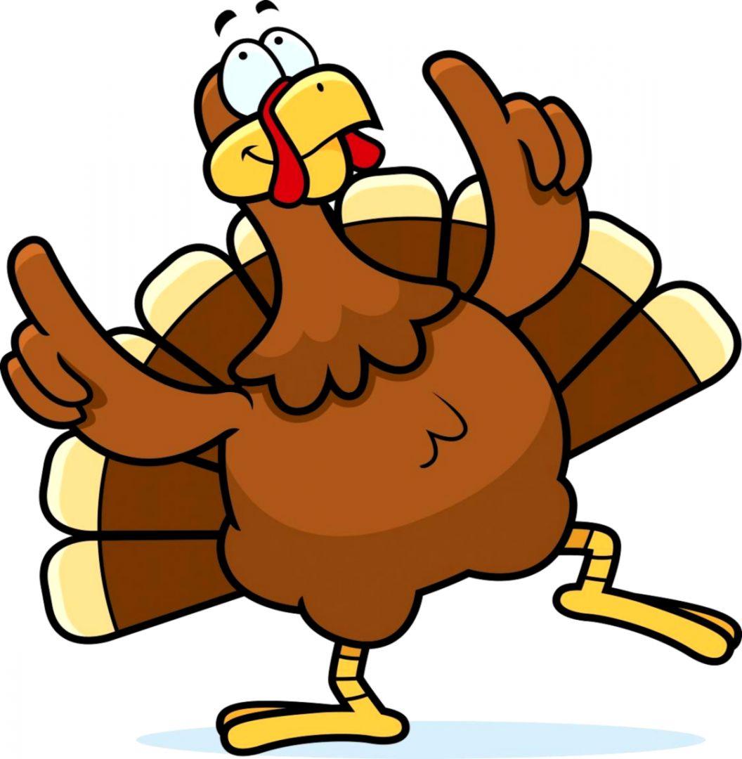 Funny Turkey Picture