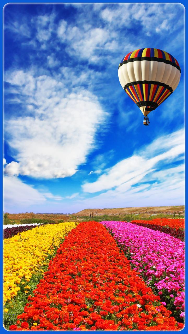 HD Awesome Hot Air Balloon Wallpaper for Android