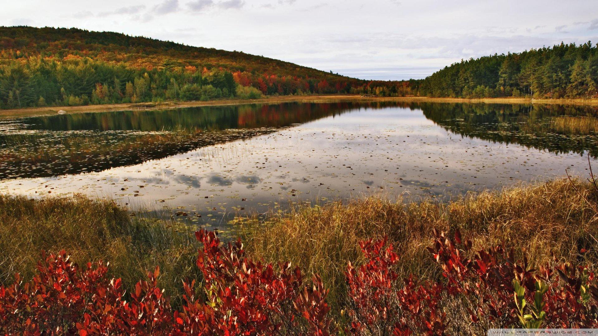 Breakneck Pond, Acadia National Park, Maine Ultra HD Desktop Background Wallpaper for 4K UHD TV, Widescreen & UltraWide Desktop & Laptop