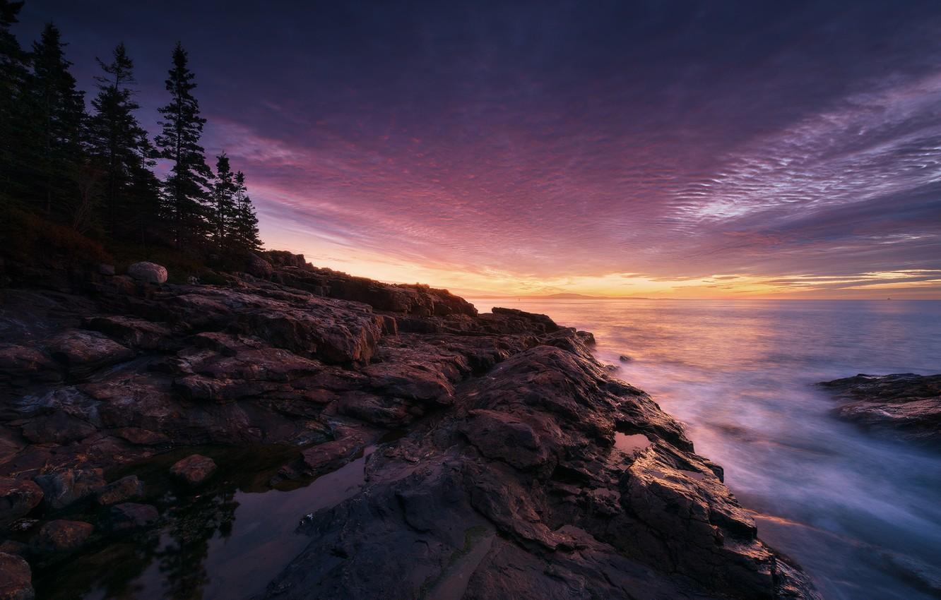 Wallpaper rock, coast, sunset, tree, usa, acadia national park, maine image for desktop, section пейзажи