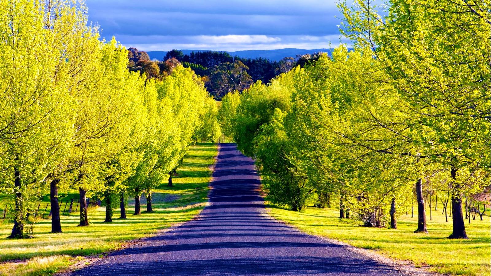 Pathway Wallpaper Beautiful Places In The World HD