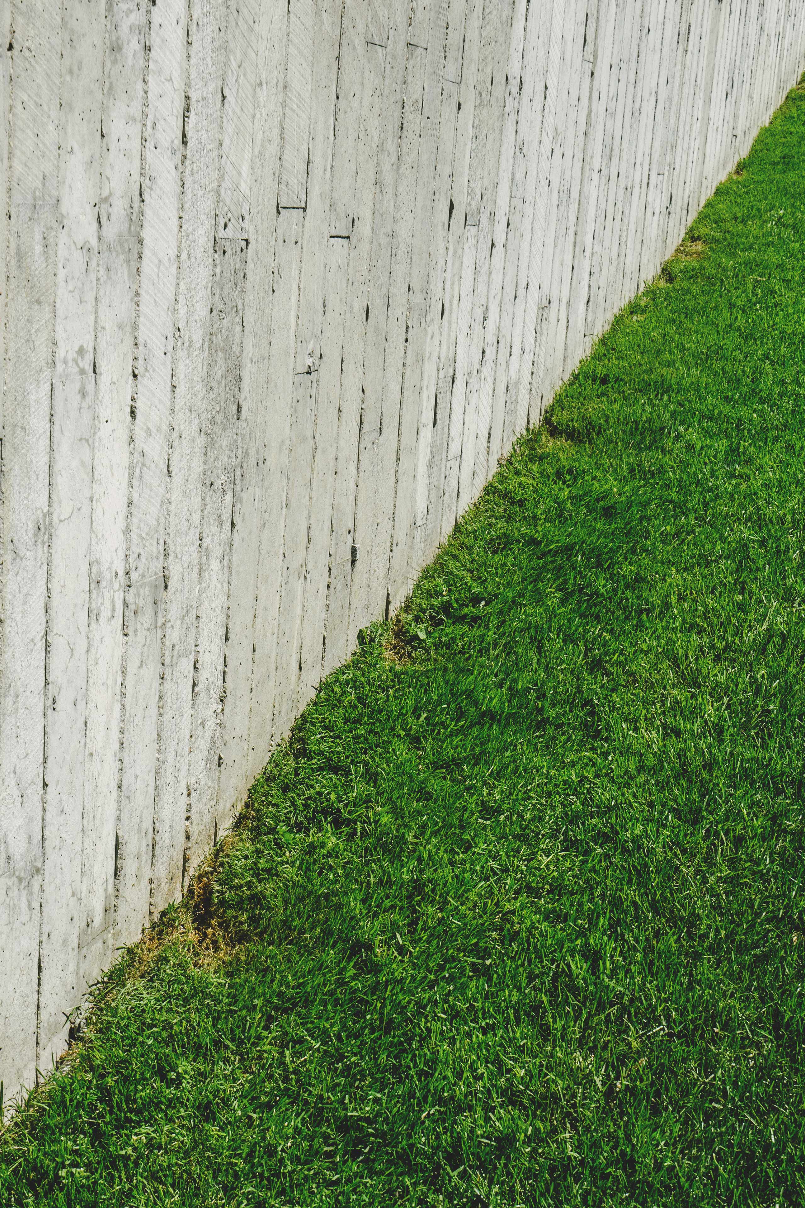Backyard Grass Mobile Wallpaper