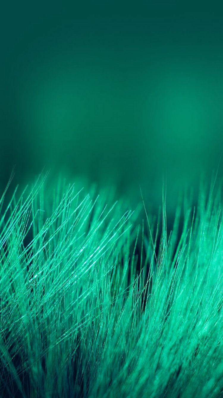 Beautiful Nature iPhone Wallpaper. Nature iphone