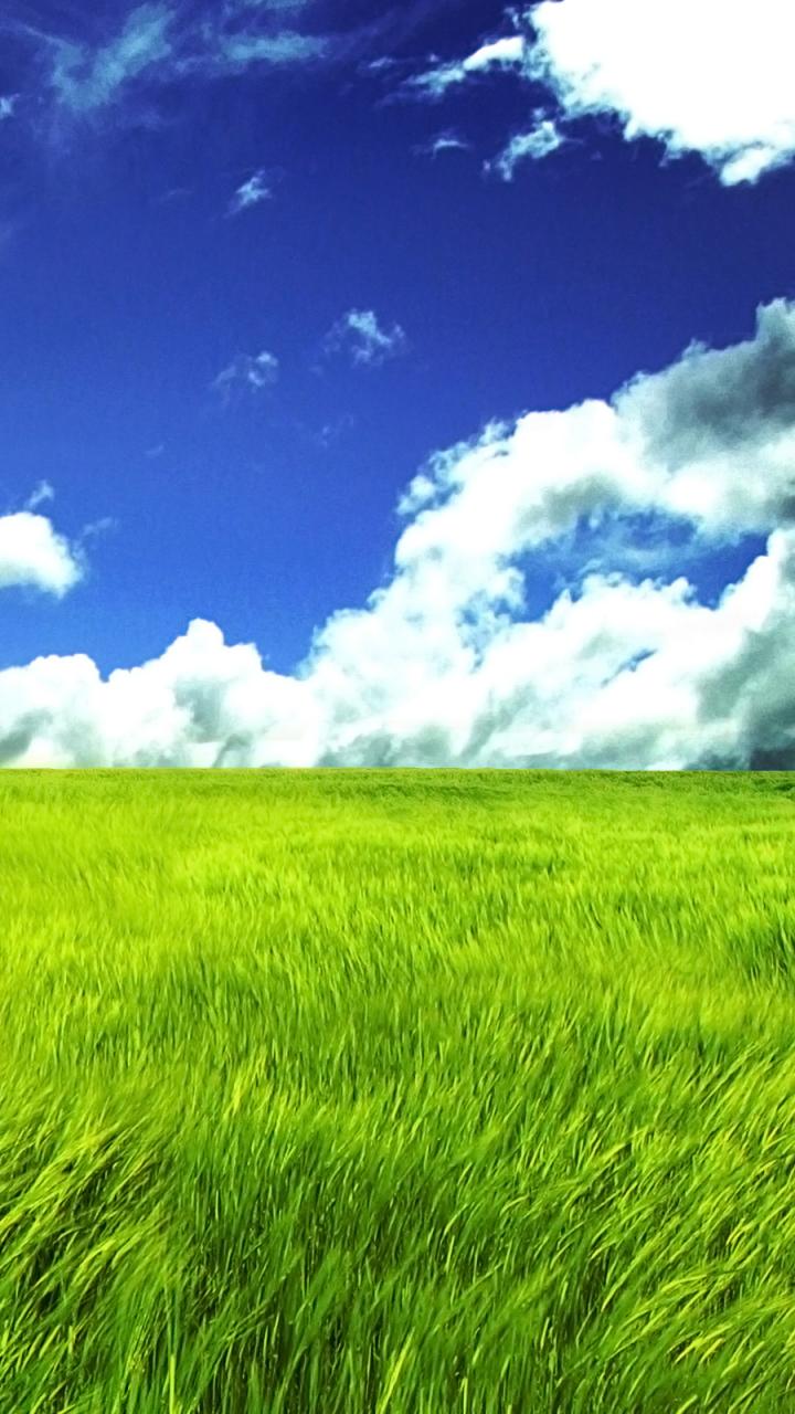 Earth Grass (720x1280) Wallpaper