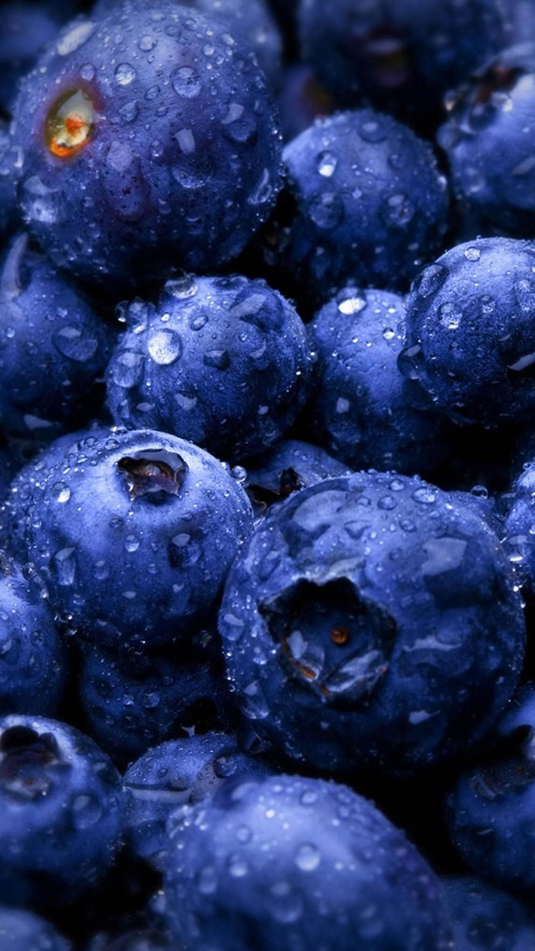 Free download HD Blueberries Fruit Water Drops Android