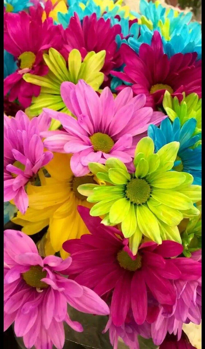 Floral. Flower image, Amazing flowers