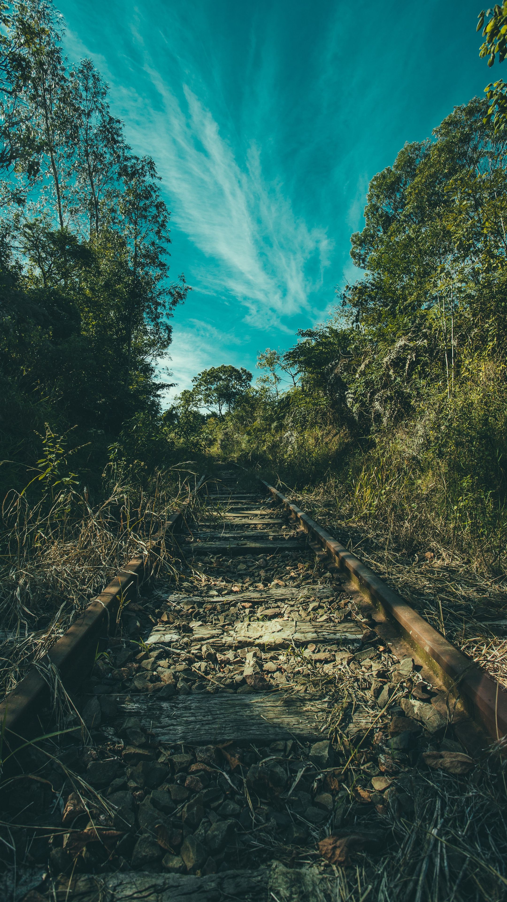 Nature #railway #trees #grass #wallpaper HD 4k background for android :)k background, Green nature wallpaper, HD nature wallpaper