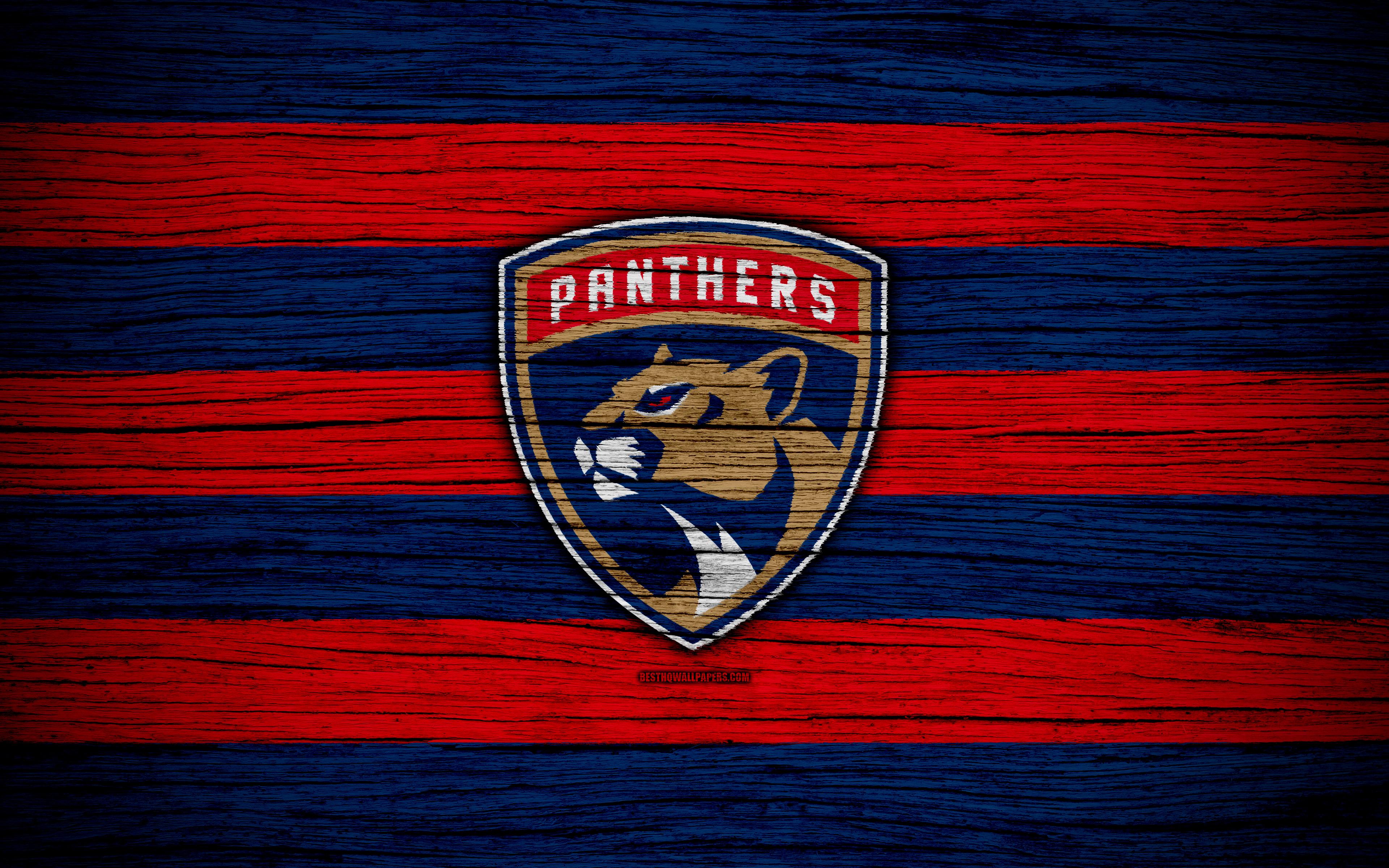 Florida Panthers HD Wallpapers - Wallpaper Cave