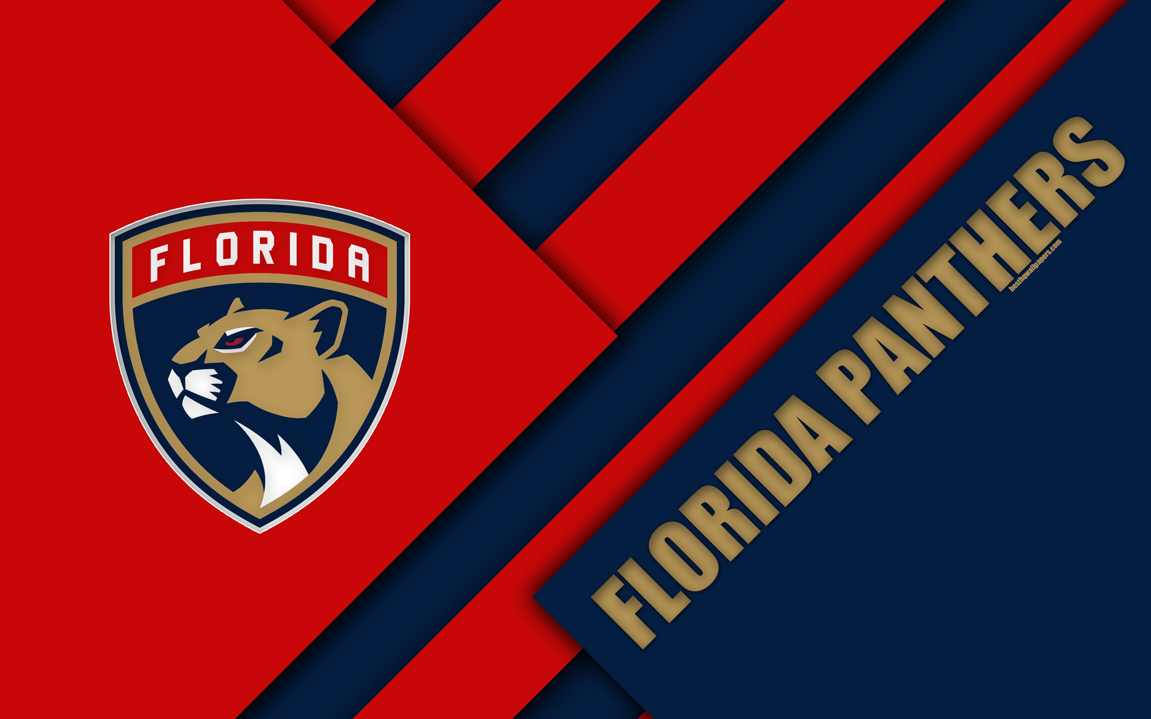 Download wallpaper Florida Panthers, 4k, material design