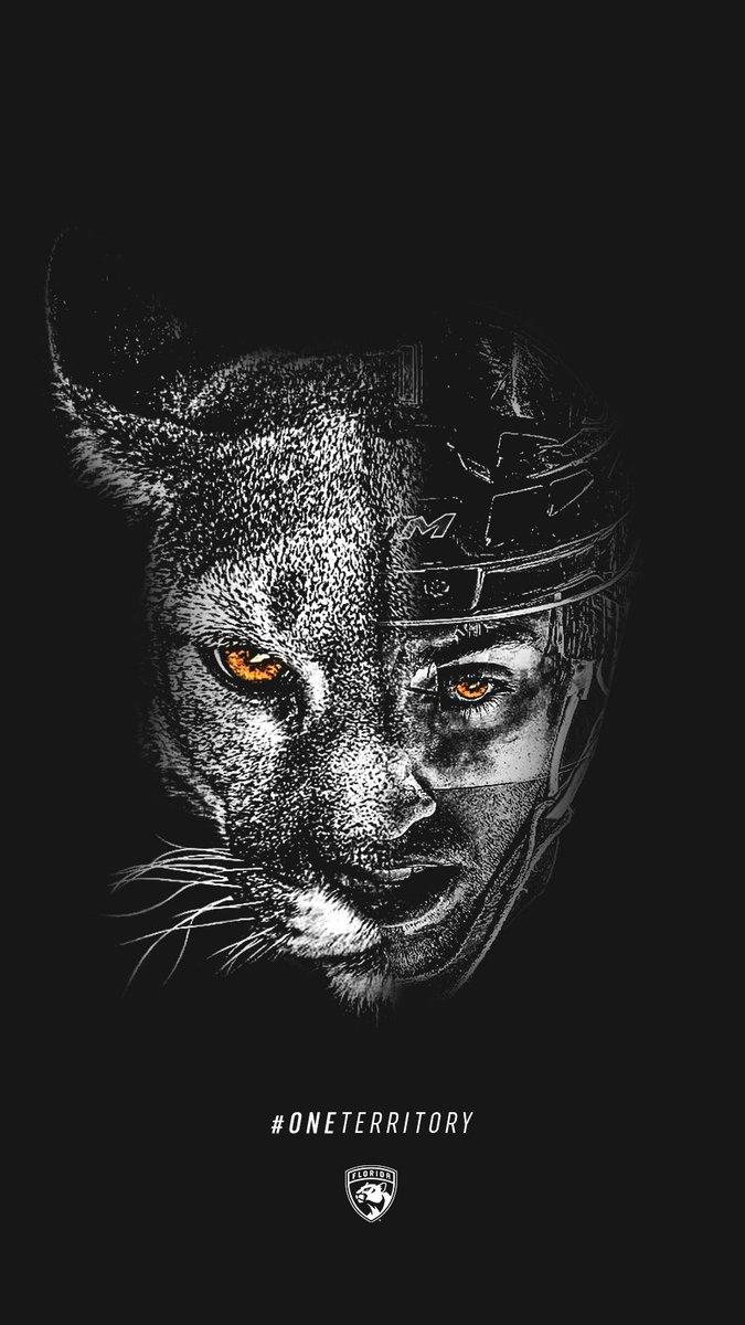 Florida Panthers HD Wallpapers Wallpaper Cave